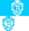 jonas brothers 