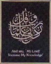 Islam - Knowledge