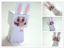 robot mario bunny