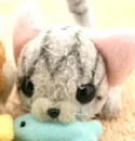 kawaii cat eating fishy