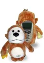 brown money phone pocket
