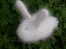 kawaii white bunny