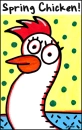 Spring chicken!