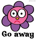 go away flower