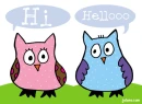 hi helllllooooo owls