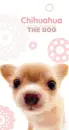 THE DOG