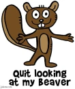 beaver funny