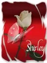 Shirley