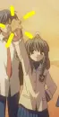 Fuko's starfish