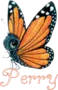 Perry butterfly