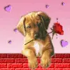 sweet 