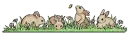 Bunnies