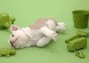 all over...green