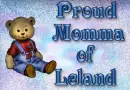 Proud Momma of Leland