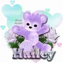 Hailey