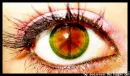 peace, i, see, hippie, hippy, groovy, eye