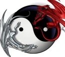Dragon Yin Yang