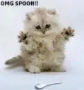 omfg! it's a spoon!! let's partyz!!!!