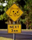 pedobear