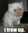 O.o;
