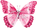 tara-butterfly