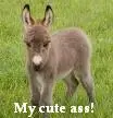 My cute ass