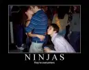 Ninja