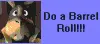 DO A BARREL ROLL!