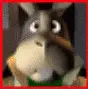 Peppy Hare