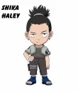 shikahaley