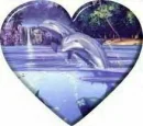 Dolphin Heart