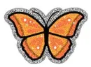 butterfly