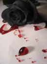 bloody rose