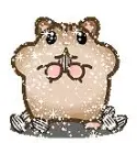 hampster