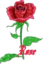 rose