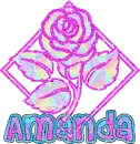 Amanda - Rose