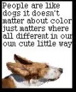 People are like dogs