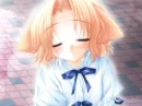 Sachi Wet