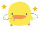 Cute piyo chick