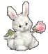 bunny rose