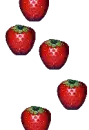 strawberrys
