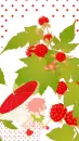 SWEET RASSBERRY
