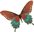 Orange leaf butterfly