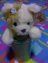 Teddy bear