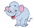 baby elephant