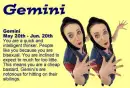 True Gemini