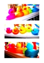 rainbow duckies