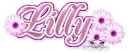 Lilly Pink Blossom (white b/g)