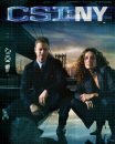 CSI NY