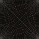 spider net